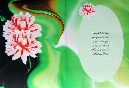 Dahlia Insert Landscape by Selina Dittmann