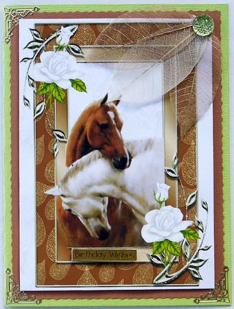 Horses Heads Entwined with Gold and White Rose Frame A4 by Selina Dittmann
