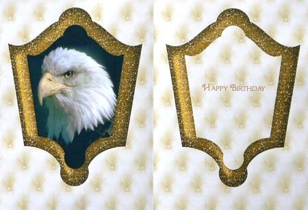 Wise Old Bird Insert - Gold by Selina Dittmann
