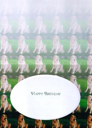 Golden Retriever Insert by Selina Dittmann
