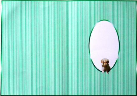 Simply Inserts by Selina Dittmann