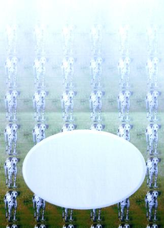 Dalmatian Dog Insert by Selina Dittmann
