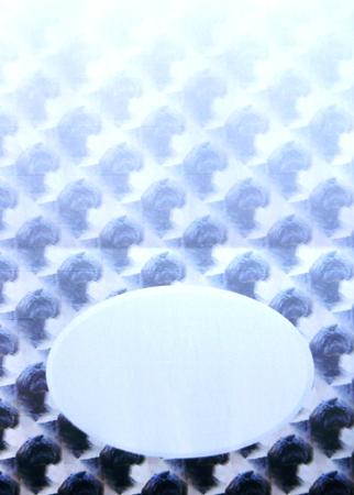 Shih Tzu Insert by Selina Dittmann