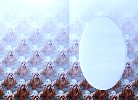 Shih Tzu Scene Insert by Selina Dittmann