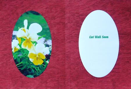 Yellow Pansies Insert by Selina Dittmann