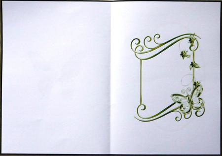 Pretty Lime Green Butterfly Insert by Selina Dittmann