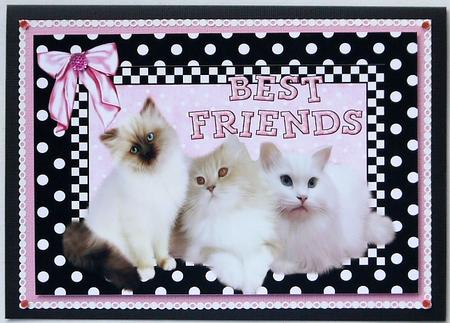 Three Little Kitties Cute as Can Be, Best of Friends A4 by Selina Dittmann