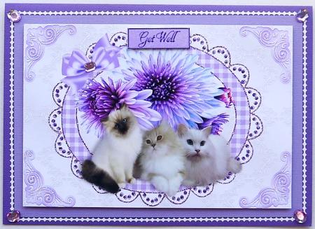 Kittens with Pretty Purple Flowers on Lace A4 by Selina Dittmann