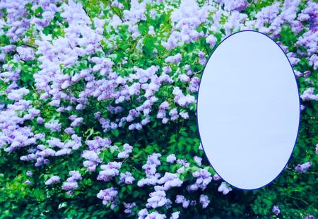 The Lilac Bush with Plain Oval Insert by Selina Dittmann