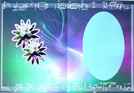 Flower on Flower Insert by Selina Dittmann