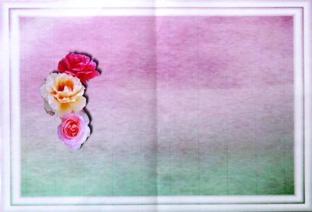Anniversary Insert by Selina Dittmann