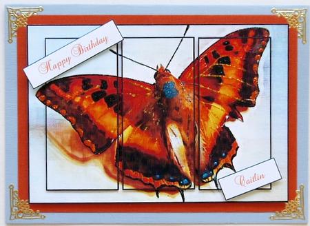 Butterfly Painting Panel Card by Selina Dittmann