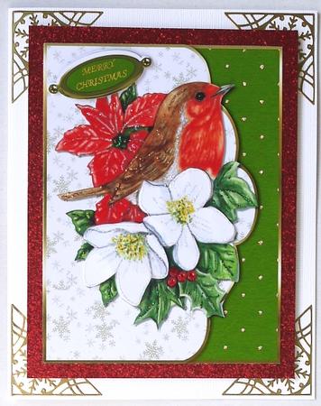 The Christmas Robin Faux Envelope Quick Card by Selina Dittmann
