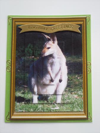 Aussie Natives - Red Shouldered Wallaby by Selina Dittmann