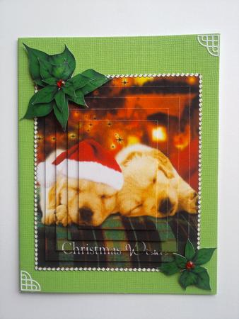 2 Little Pooches One with Santa Hat On by Selina Dittmann