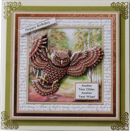 Wise Old Bird 8x8 Mini Kit with Ages & Decoupage by Selina Dittmann