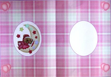 Baby Pink Blank Insert by Selina Dittmann