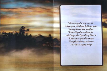 Dessert Land Insert, with Borders by Selina Dittmann