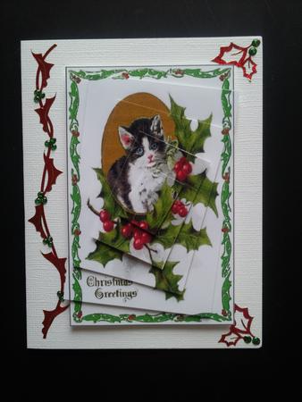 Christmas Kitten by Selina Dittmann