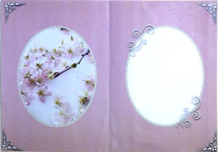Apple Blossom Insert by Selina Dittmann