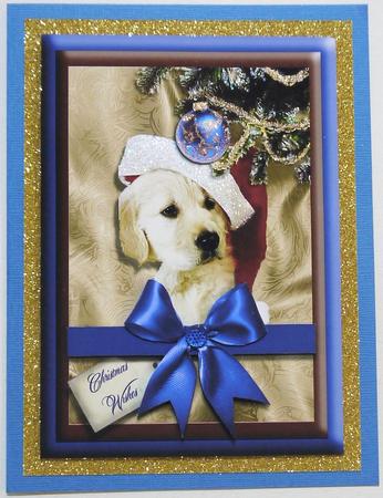 New Puppy Christmas by Selina Dittmann