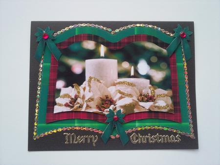 White Poinsettias and White Candle Book by Selina Dittmann