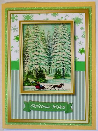 Sleigh Ride in the Snow  by Selina Dittmann