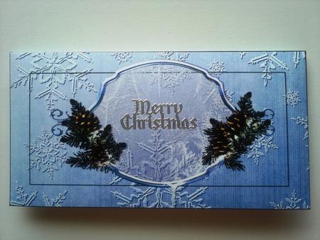 Pinecone Money Wallet by Selina Dittmann