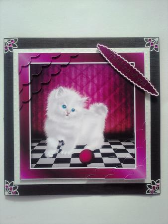 Angora Kitten Card Front by Selina Dittmann
