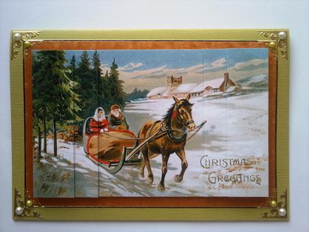 Winter Sleigh Ride by Selina Dittmann