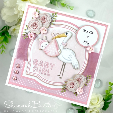Baby Girl #1 by Shannah Bartle
