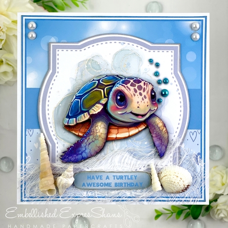 BIRTHDAY TURTLE 5.5 by Shannah Bartle