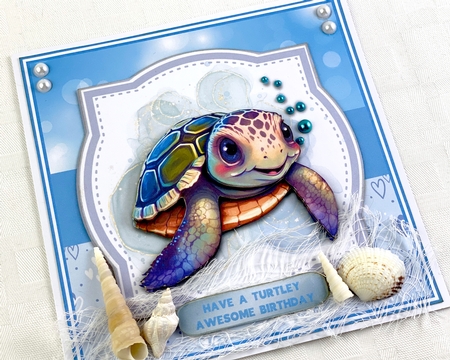 BIRTHDAY TURTLE 5.5 by Shannah Bartle
