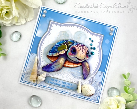 BIRTHDAY TURTLE 5.5 by Shannah Bartle
