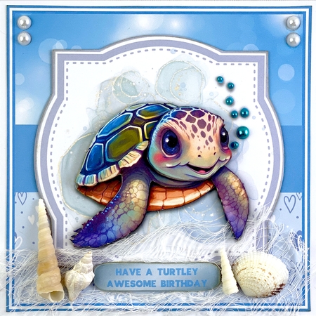 BIRTHDAY TURTLE 5.5 by Shannah Bartle