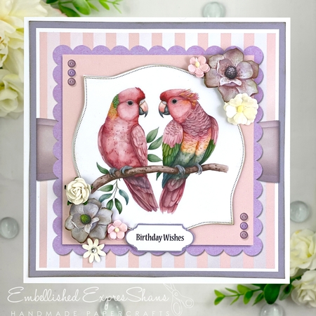 Birds Of A Feather Six Card Topper Set by Shannah Bartle