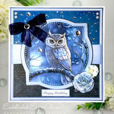 NIGHT OWLS by Shannah Bartle