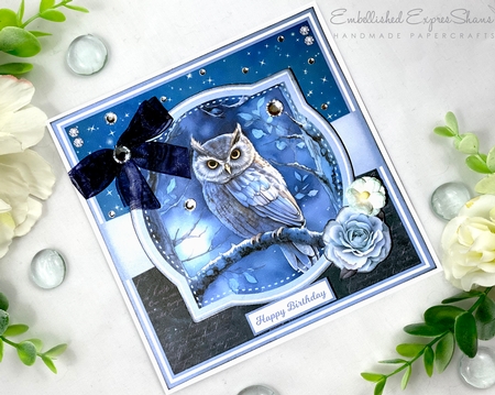 NIGHT OWLS Featured Gallery Photo