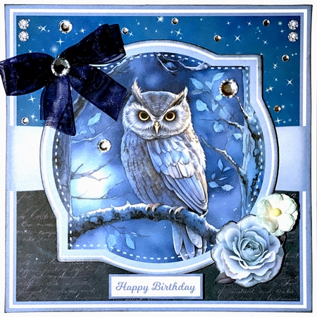 NIGHT OWLS by Shannah Bartle