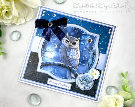 NIGHT OWLS by Shannah Bartle