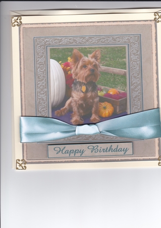 Pup with Gourds, in Frame by Sharon Evans
