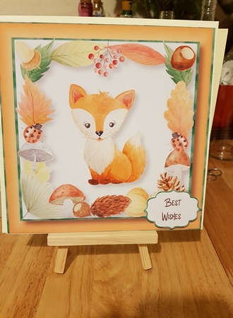 Fabulous Fox 8x8 by Sharon Evans