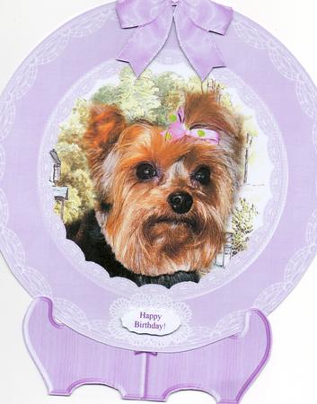Khloie Belle Yorkshire Terrier Plate Card Stand & Sentiments by Sharon Evans