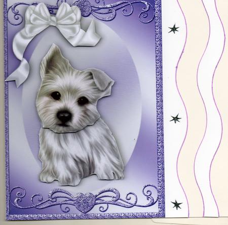 White Little Westie Pup in Ornate Frame by Sharon Evans