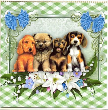Sooooooo Cute! Four Little Puppies with Flowers by Sharon Evans