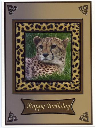 Cheetah Card - Father's Day, Birthday by Sharon Evans