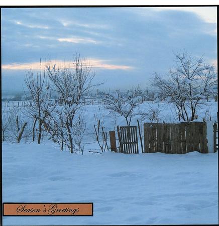 Christmas Scene Topper 2 by Sharon Evans