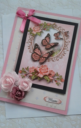 Beautiful Pink Roses & Butterflies by Sharon Clifford