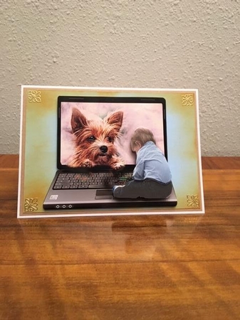 let me see by Sharon Hinckley