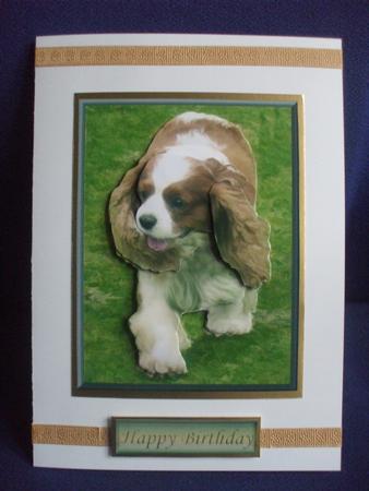 Cavalier King Charles Spaniel Walking 3D Decoupage by Sharon Scott